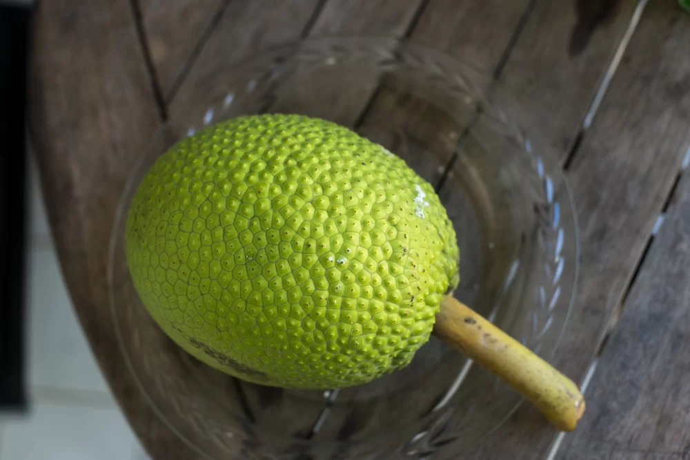 Caribbean Fruits: Quick Facts about Breadfruit & Why It Is Good for You!